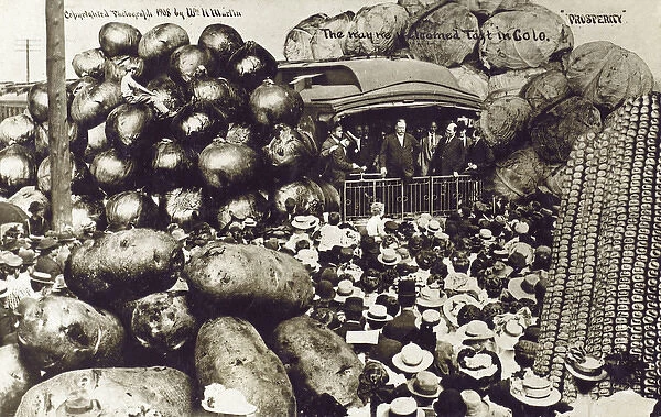 Taft on the Campaign Trail in Colorado, USA - Giant Veg