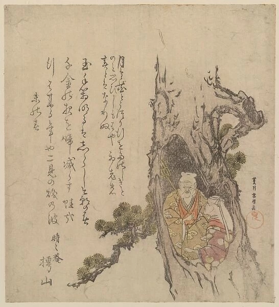 Tagasago couple in the hollow of a pine tree