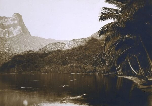 Tahiti - Coastal scene with Palm Trees