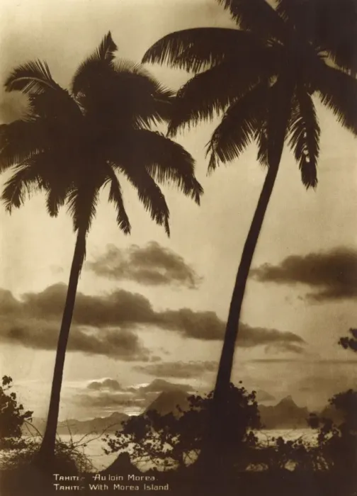 Framed Print : Tahiti - Coastal scene with Palm Trees / Moorea Island Framed Print : Tahiti - Coastal scene with Palm Trees / Moorea Island
