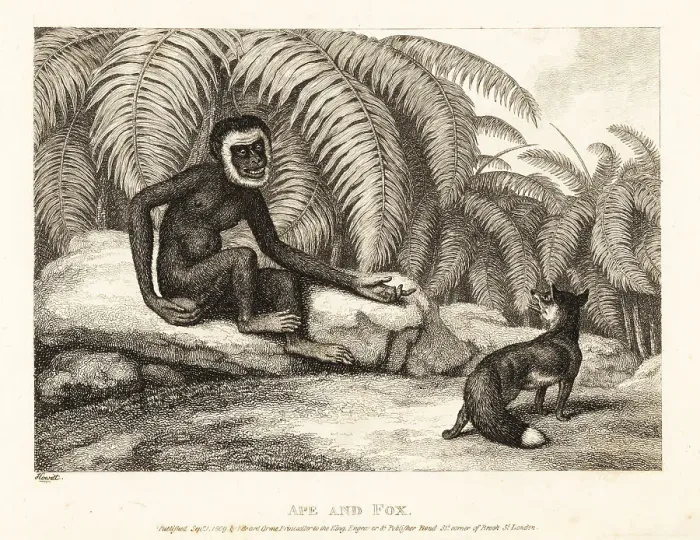 Framed Print : A tailless monkey asks a fox for some of his tail. Ape and fox Framed Print : A tailless monkey asks a fox for some of his tail. Ape and fox