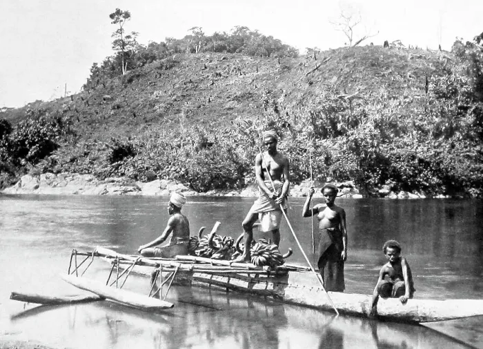 Framed Print : Taking bananas to market, Fiji, Victorian period Framed Print : Taking bananas to market, Fiji, Victorian period