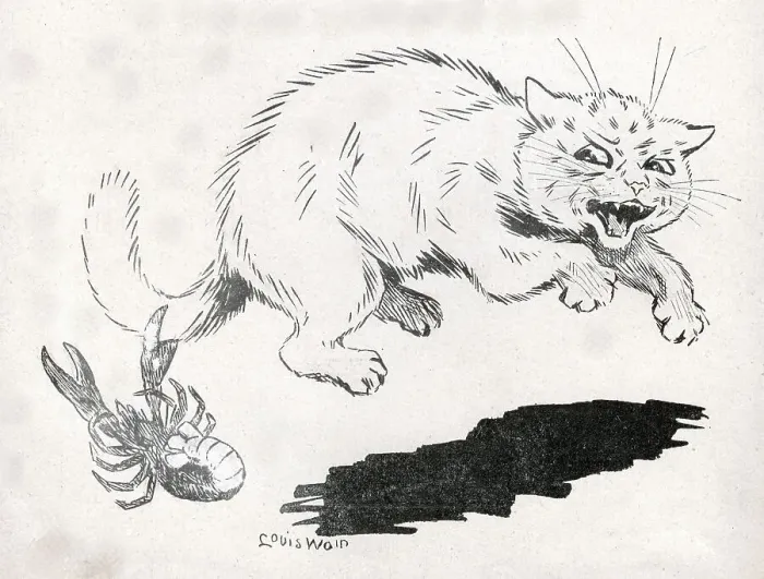 Framed Print : The Tale of a Tail, Louis Wain Cat bitten by a Lobster Framed Print : The Tale of a Tail, Louis Wain Cat bitten by a Lobster