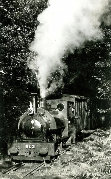 Talyllyn Railway steam locomotive No. 3 Sir Haydn