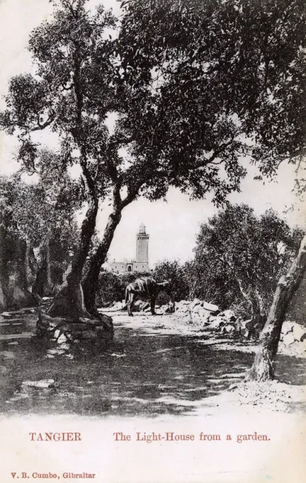 Framed Print : Tangier, Morocco - The Lighthouse viewed from a garden Framed Print : Tangier, Morocco - The Lighthouse viewed from a garden