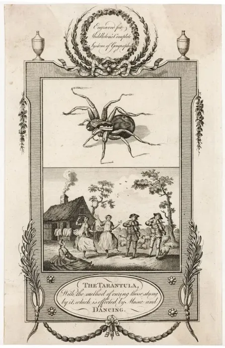 Framed Print : Tarantula. THE TARANTULA With the method of curing those stung by it Framed Print : Tarantula. THE TARANTULA With the method of curing those stung by it