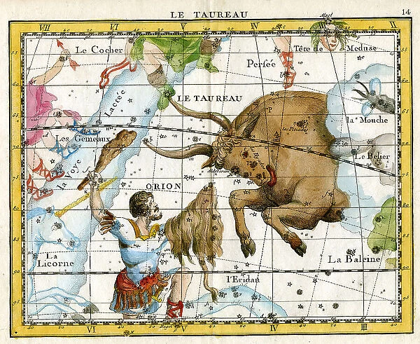 Taurus - Bull