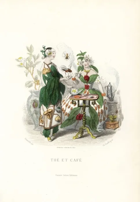 Framed Print : Tea and coffee flower fairies sharing beverages Framed Print : Tea and coffee flower fairies sharing beverages