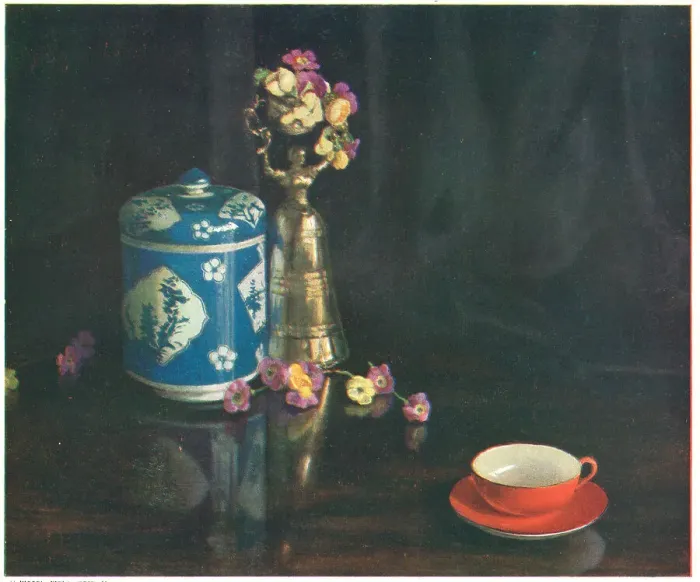 Framed Print : The Tea Cup Framed Print : The Tea Cup