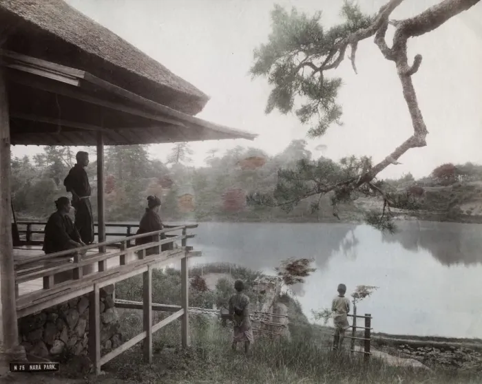 Framed Print : Tea house looking out over Nara Park, Japan Framed Print : Tea house looking out over Nara Park, Japan