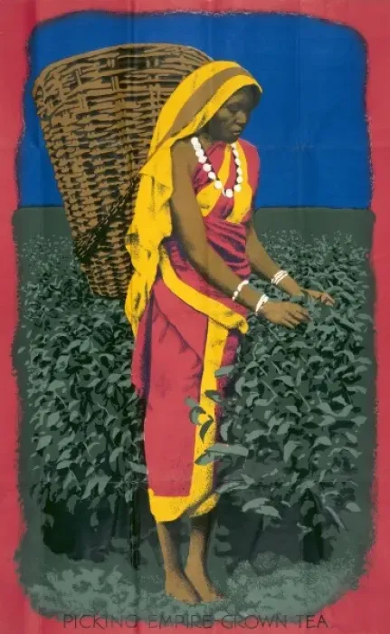Framed Print : Tea Industry poster Framed Print : Tea Industry poster