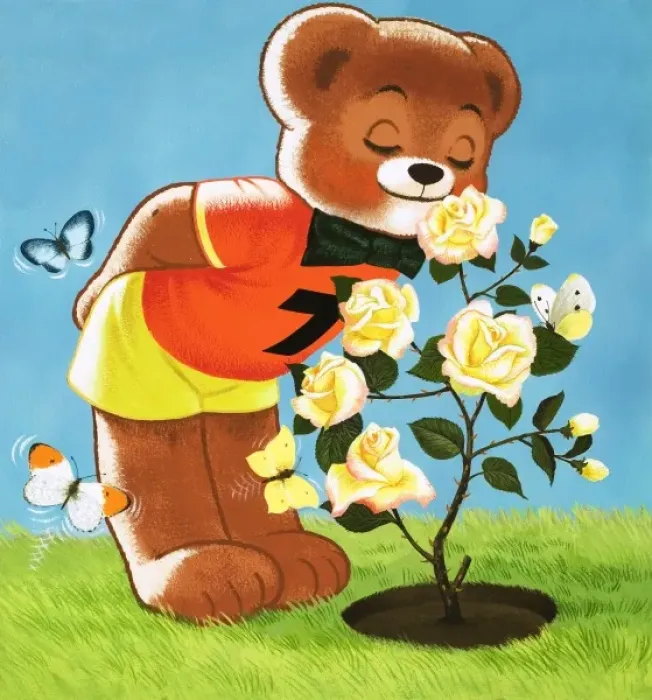 Framed Print : Teddy Bear Framed Print : Teddy Bear