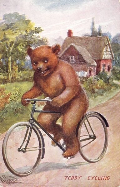 Teddy bear on a bicycle
