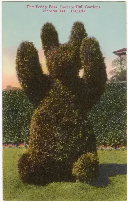 Framed Print : Teddy Bear topiary, Loretto Hall Gardens, Victoria, British Columbia, Canada Date: circa 1910s Framed Print : Teddy Bear topiary, Loretto Hall Gardens, Victoria, British Columbia, Canada Date: circa 1910s