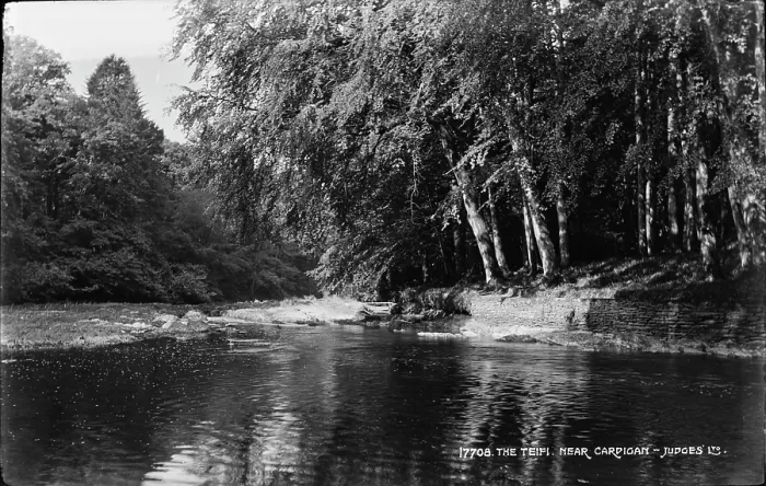 Framed Print : The Teifi River Near Cardigan Framed Print : The Teifi River Near Cardigan