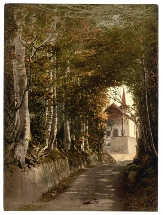 Framed Print : Tells Chapel, the lane through the woods near Kussnacht, sh Framed Print : Tells Chapel, the lane through the woods near Kussnacht, sh