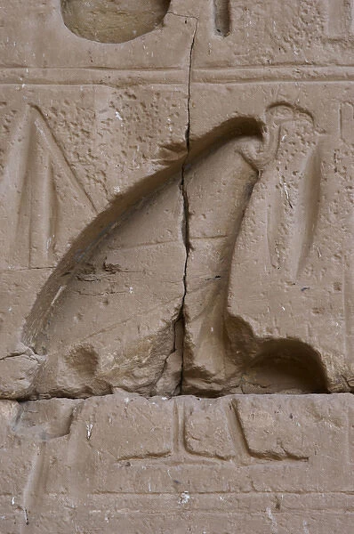 Temple of Ramses III. Vulture