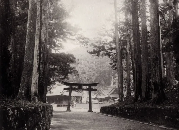Framed Print : Temple and torii at Nikko, Japan Framed Print : Temple and torii at Nikko, Japan