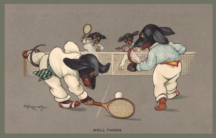Framed Print : Tennis. Dogs playing tennis. Artist: A E Kennedy Date: 1912 Framed Print : Tennis. Dogs playing tennis. Artist: A E Kennedy Date: 1912
