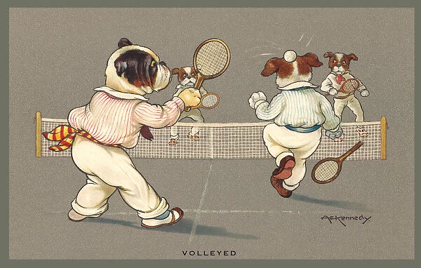 Tennis. Dogs playing tennis. Artist: A E Kennedy Date: 1912