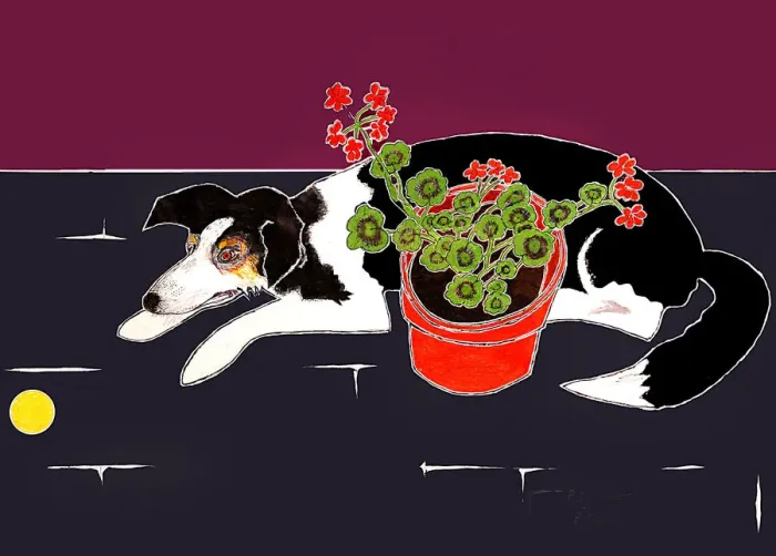 Framed Print : Tennis Ball and Geraniums Framed Print : Tennis Ball and Geraniums