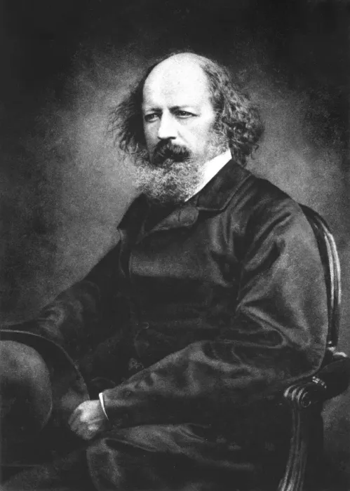 Framed Print : Tennyson Maclure Framed Print : Tennyson Maclure
