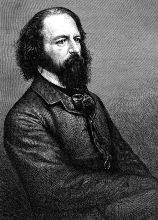 Framed Print : Tennyson Molocle Framed Print : Tennyson Molocle