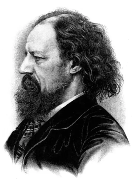 Framed Print : Tennyson profile Framed Print : Tennyson profile