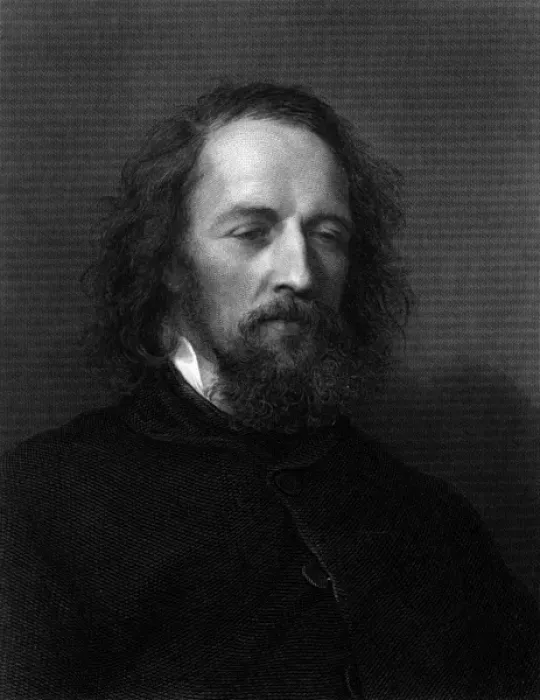 Framed Print : Tennyson Stephenson Framed Print : Tennyson Stephenson