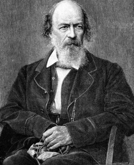 Framed Print : Tennyson Werdmuller Framed Print : Tennyson Werdmuller