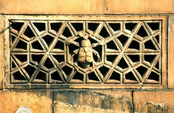 Detail of terracotta moulding of a beetle in the Waterhouse