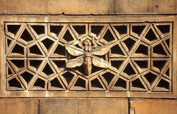 Detail of terracotta moulding of a dragonfly in the Waterhou