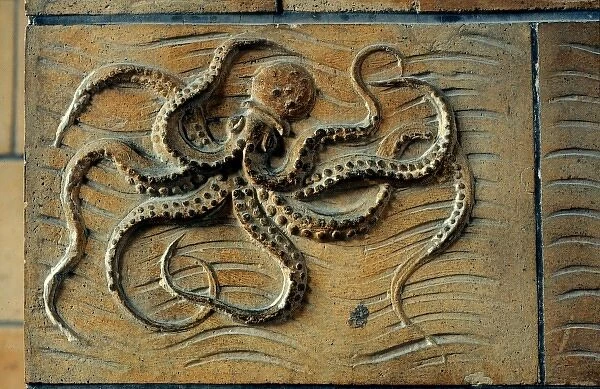 Detail of terracotta moulding of an octopus in the Waterhous