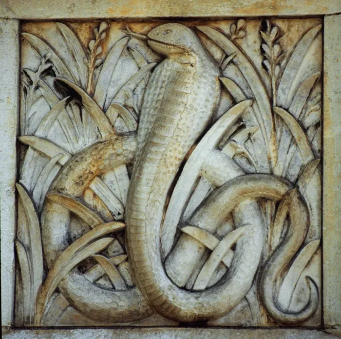 Framed Print : Detail of terracotta moulding of a snake in the Waterhouse B Framed Print : Detail of terracotta moulding of a snake in the Waterhouse B