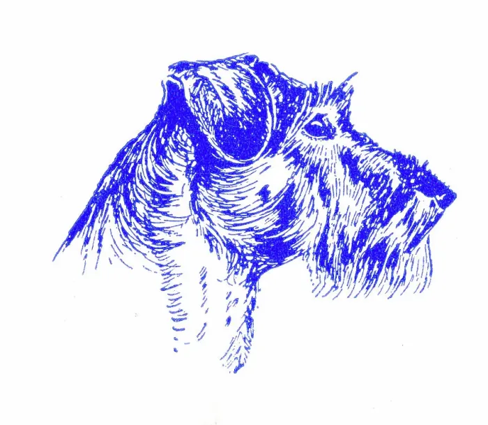 Framed Print : Terrier dog's head - 1950s printer's block Framed Print : Terrier dog's head - 1950s printer's block