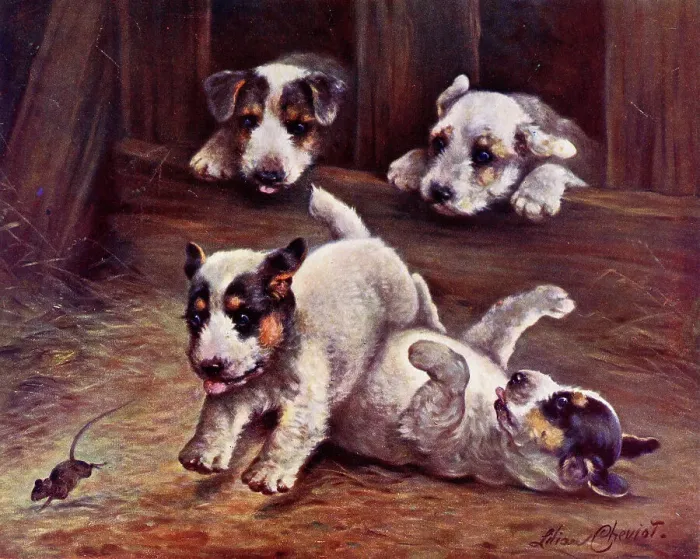 Framed Print : Terrier puppies chasing a mouse - He's Mine Framed Print : Terrier puppies chasing a mouse - He's Mine