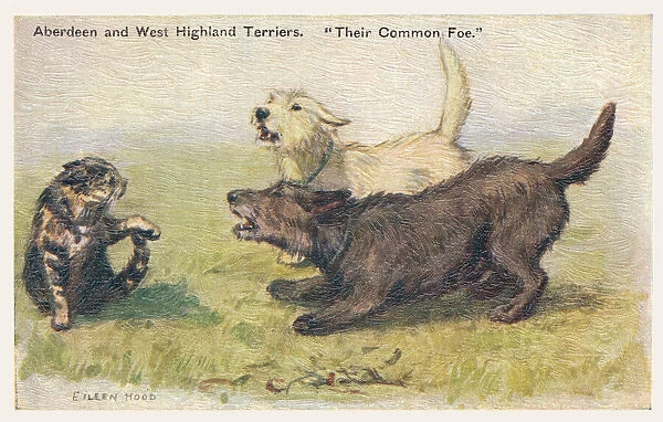 Terriers. Aberdeen and West Highland Terriers. Artist: Eileen Hood Date: circa 1930