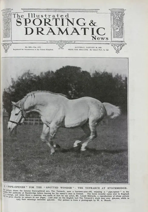 Framed Print : The Tetrarch, a Racehorse Framed Print : The Tetrarch, a Racehorse
