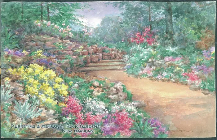 Framed Print : Text: Aubretias & Alyssum, Rock Gardens, Kew Gardens Framed Print : Text: Aubretias & Alyssum, Rock Gardens, Kew Gardens