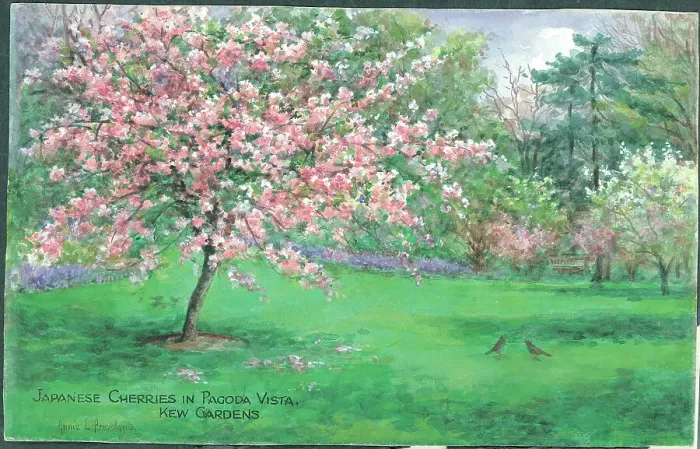 Framed Print : Text: Japanese Cherries in Pagoda Vista, Kew Gardens Framed Print : Text: Japanese Cherries in Pagoda Vista, Kew Gardens