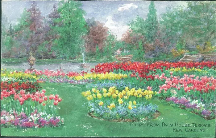 Framed Print : Text: Tulips from Palm House Terrace, Kew Gardens Framed Print : Text: Tulips from Palm House Terrace, Kew Gardens