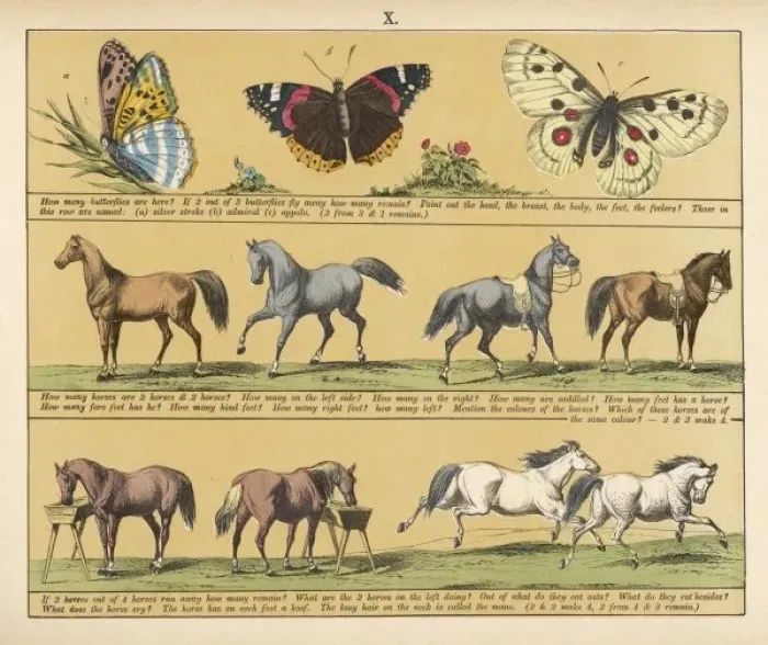 Framed Print : TEXTBOOK / 1880 / PLATE 10 Framed Print : TEXTBOOK / 1880 / PLATE 10