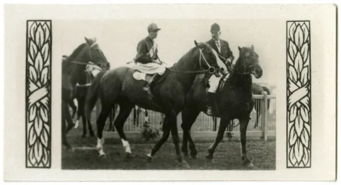 Framed Print : Textile, Australian race horse Framed Print : Textile, Australian race horse