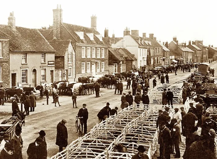 Framed Print : Thame cattle market, early 1900s Framed Print : Thame cattle market, early 1900s