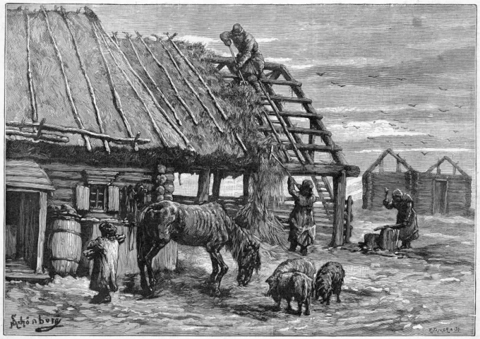 Framed Print : Thatch for Animals Framed Print : Thatch for Animals