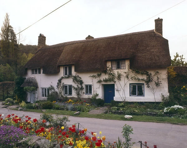 Thatched cottage at Dunster, Somerset