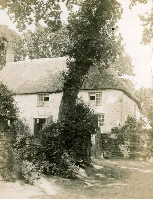 Framed Print : Thatched Cottage, Falmouth Area, Cornwall Framed Print : Thatched Cottage, Falmouth Area, Cornwall