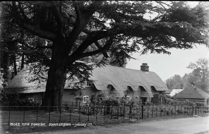 Framed Print : Thatched Cottage in Swan Green Framed Print : Thatched Cottage in Swan Green
