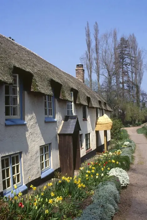 Framed Print : Thatched cottages at Dunster, Somerset Framed Print : Thatched cottages at Dunster, Somerset