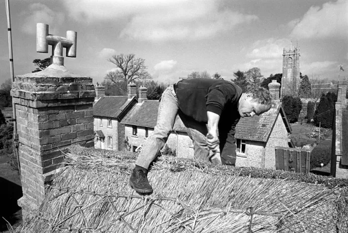 Framed Print : Thatcher working on Somerset cottage -1